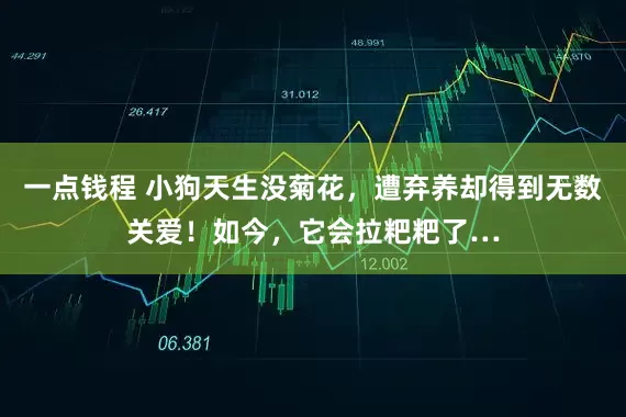 一点钱程 小狗天生没菊花，遭弃养却得到无数关爱！如今，它会拉粑粑了…