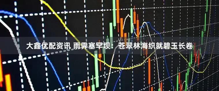 大鑫优配资讯 雨霁塞罕坝：苍翠林海织就碧玉长卷