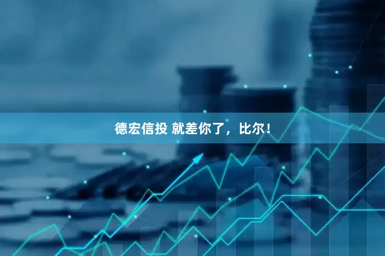 德宏信投 就差你了，比尔！