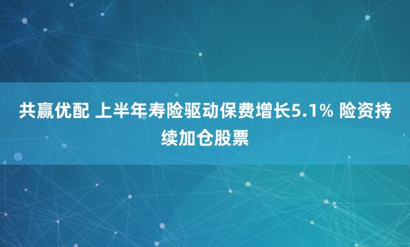 共赢优配 上半年寿险驱动保费增长5.1% 险资持续加仓股票