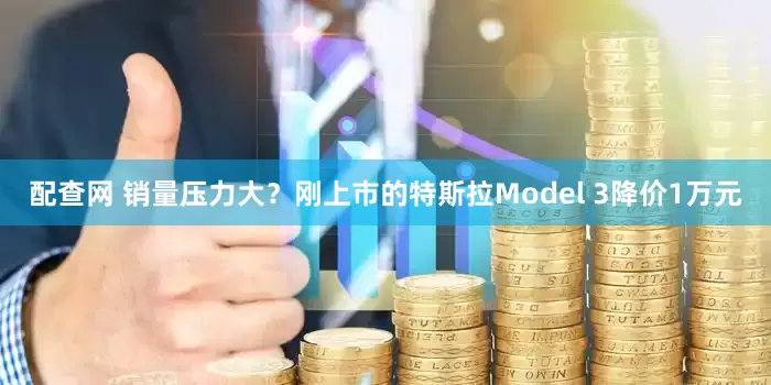 配查网 销量压力大？刚上市的特斯拉Model 3降价1万元